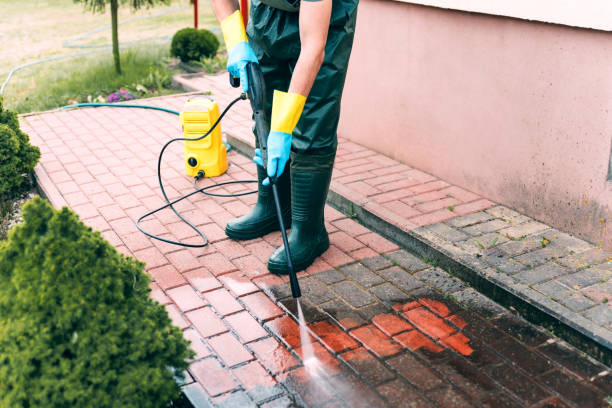 Best Building Exterior Washing  in Holbrook, NY